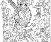 Coloriage Xxl hibou et livre