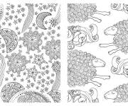 Coloriage Xxl moutons et &eacute;toiles pour adultes