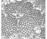 Coloriage Xxl oiseaux paons