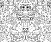 Coloriage et dessins gratuit Adulte Hibou à imprimer