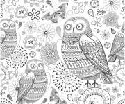 Coloriage Adulte Hibou en couleur