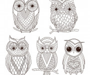 Coloriage et dessins gratuit Destressant Art Hibou à imprimer