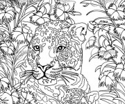 Coloriage et dessins gratuit Zen Anti-Stress Panthère à imprimer