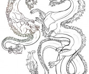 Coloriage Zen Dragons à télécharger