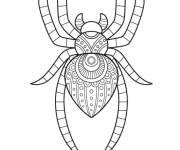 Coloriage et dessins gratuit Araign&eacute;e zen pour enfants à imprimer