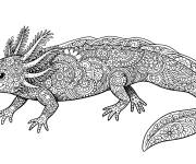 Coloriage Axolotl zentangle