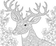 Coloriage Cerf adulte zentangle