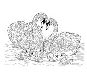 Coloriage Couple Cygnes zentangle