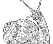 Coloriage Escargot Zentangle aux motifs complexes