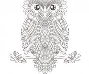 Coloriage Hibou Zentangle intriguant