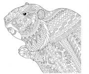 Coloriage Marmotte zentangle