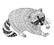 Coloriage Motifs Zentangle de raton laveur