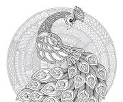 Coloriage Paon tr&egrave;s beau &agrave; motif zentangle