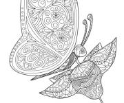Coloriage Papillon sur la fleur &agrave; motif zentangle
