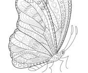 Coloriage Papillon Zentangle pour maternelle