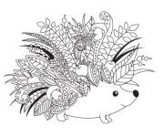 Coloriage Petit h&eacute;risson zentangle