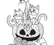 Coloriage Petits chats dans une citrouilles