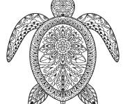 Coloriage Tortue de mer Zentangle