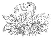 Coloriage Toucan fleurs zentangle