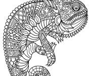 Coloriage Zentangle cam&eacute;l&eacute;on
