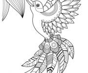Coloriage zentangle colibri et la fleur