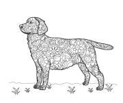 Coloriage et dessins gratuit Zentangle labrador à imprimer