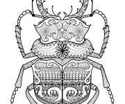 Coloriage Zentangle scarab&eacute;e