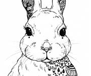 Coloriage Adulte Li&egrave;vre Zentangle