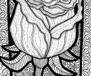 Coloriage Adulte zentangle rose