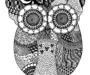 Coloriage Portrait Hibou surpris en style zentangle