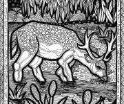 Coloriage Sc&egrave;ne de cerf Zentangle