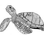 Coloriage Tortue Zentangle pour adulte