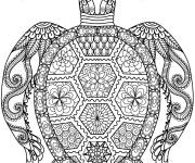 Coloriage Tortue Zentangle vue de haut