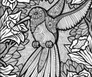 Coloriage Zentangle Colibri