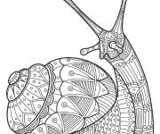Coloriage Zentangle Escargot