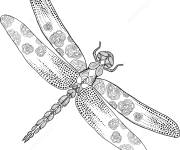 Coloriage Zentangle Libellule