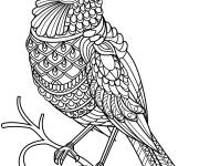 Coloriage Zentangle oiseau Cardinal rouge