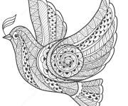 Coloriage Zentangle pigeon adulte