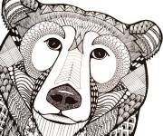 Coloriage Zentangle t&ecirc;te d'ours