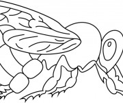 Coloriage Abeille en noir