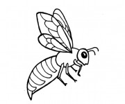 Coloriage Abeille qui ouvre ses ailes