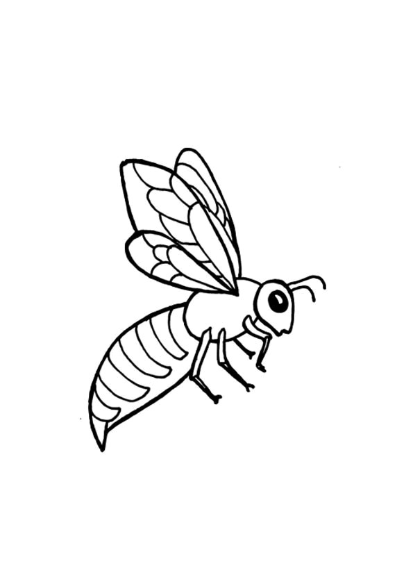 Coloriage Abeille Qui Ouvre Ses Ailes Dessin Gratuit à Imprimer