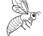 Coloriage Abeille stylis&eacute;e &agrave; colorier