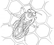 Coloriage Cellules d'Abeilles