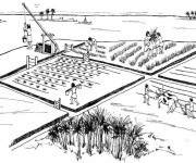 Coloriage Agriculture en Chine