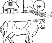Coloriage Vache de Ferme