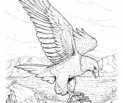 Coloriage Aigle &agrave; t&eacute;l&eacute;charger