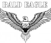 Coloriage Aigle &agrave; t&ecirc;te blanche