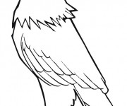Coloriage Aigle avec le regard s&eacute;rieux