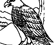 Coloriage Aigle de montagne